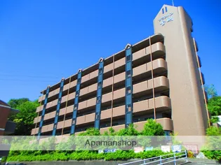 サランバン金剛Ⅱの画像