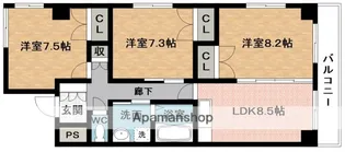 フレアグレイス【5階】の間取り