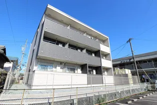 グラツィオーソの画像