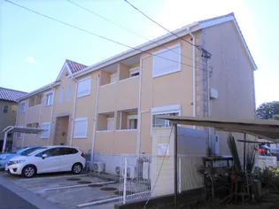 スプルースの画像