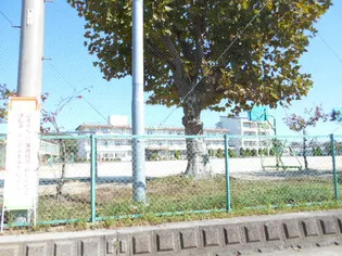 スカイハイツ【2階】の周辺