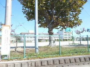 コンソラーレ F【2階】の周辺