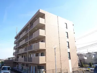 FORCEの画像
