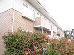 ラ・フォーレ星見ヶ丘Ⅱ【2階】の外観