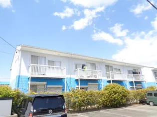 ドルフィン 1の画像