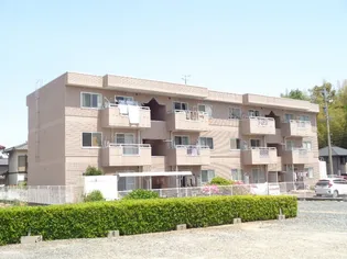 スターブルWAKOの画像