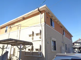 スターブル 知IIの画像