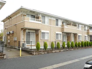 プリマ ヴェーラ Bの画像