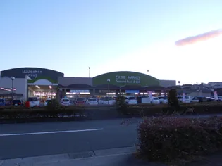 フォンターナ【301号室号室】の周辺