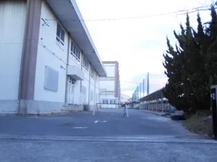 フォンターナ【301号室号室】の周辺