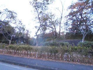 フォンターナ【301号室号室】の周辺