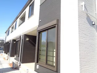 オアシスの画像