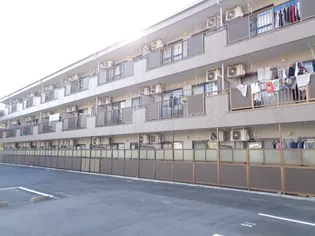 グレイスタウンMIWA B棟【1階】の外観