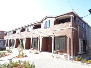 スターリット Bの画像