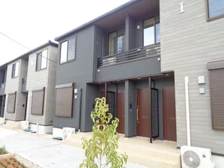 ヴィオラ IIの画像