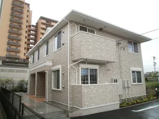 プリムローズの画像