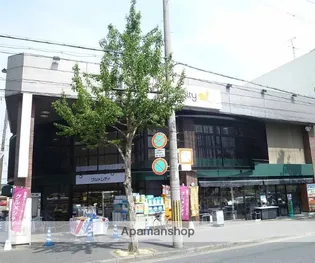 フェリーチェ吉祥院【2階】の周辺