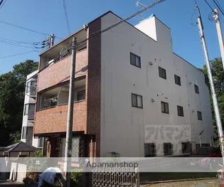 ヴィライーストの画像