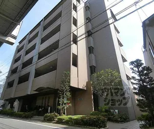 ワンネス21の画像