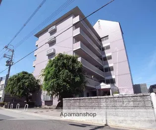 パレトールの画像