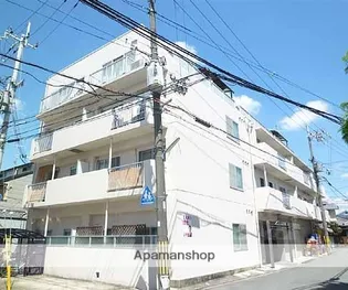 グレース藤田の画像