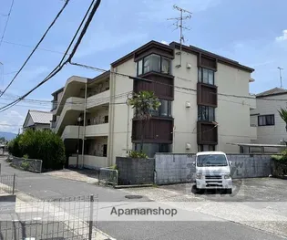 キャッスルササイの画像