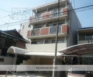 シャロンコトブキの画像