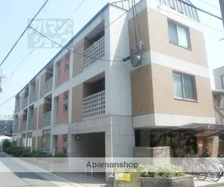 アクシスの画像