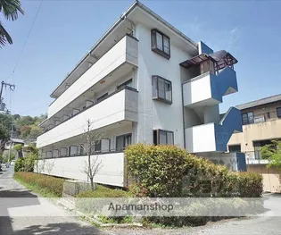 コムシェソワの画像