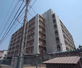 桃山和泉ハイツ【6階】の外観