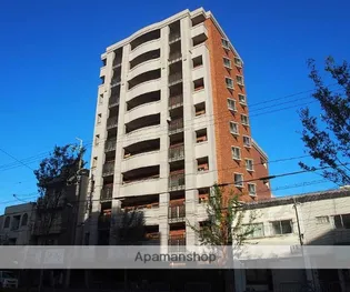 京都府京都市下京区西七条比輪田町【マンション】の外観