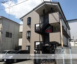 ルピナスの画像