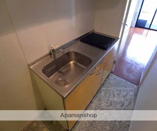 MESA VERDE 西陣【204号室】の内装