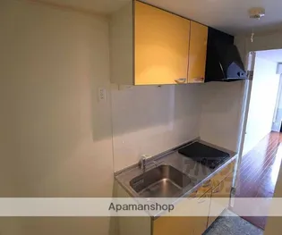 MESA VERDE 西陣【204号室】のキッチン