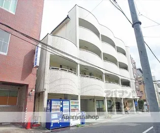 ミスティニッシンの画像