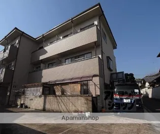 シェモア衣笠の画像