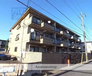 ソル クメリアーナの画像