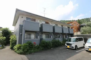 ノーザンエース花門の画像