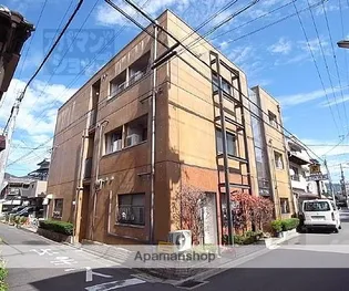 シャトルウサミの画像