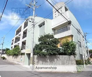 ブルーベルの画像