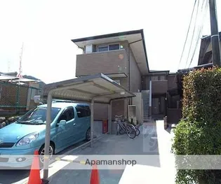 サニー フィールドの画像