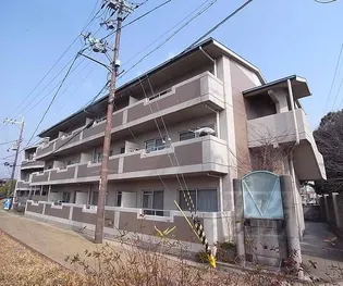 パトリード有栖【301号室】の外観