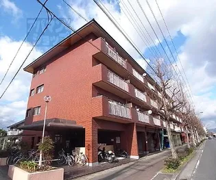 ハイツ桂A・B【A4-A号室】の外観