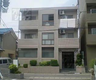 アネール桂の画像