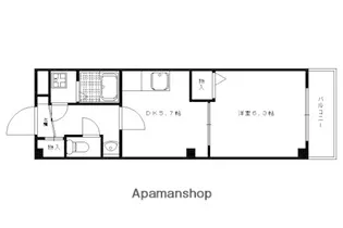 ミル メゾン T【103号室】の間取り