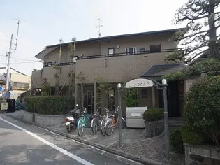 ピーノコウラクの画像