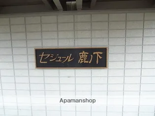 セジュール鹿ノ下【203号室】の外観