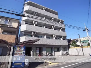 アポロンの画像