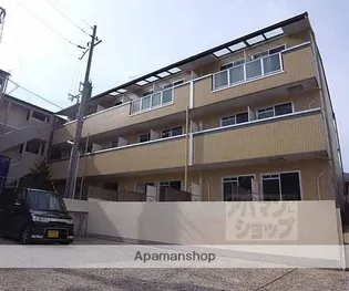 ラナキュラス椥辻の画像