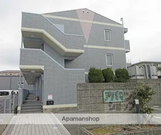 コモドENOKIの画像